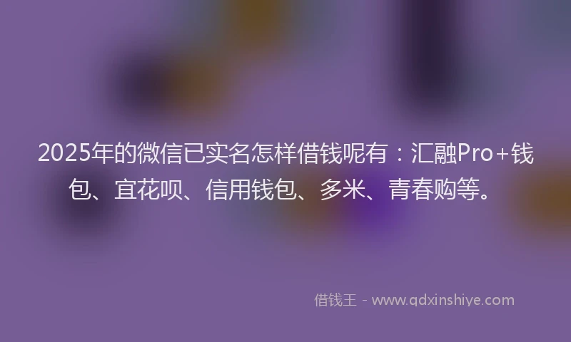 2025年的微信已实名怎样借钱呢有：汇融Pro+钱包、宜花呗、信用钱包、多米、青春购等。