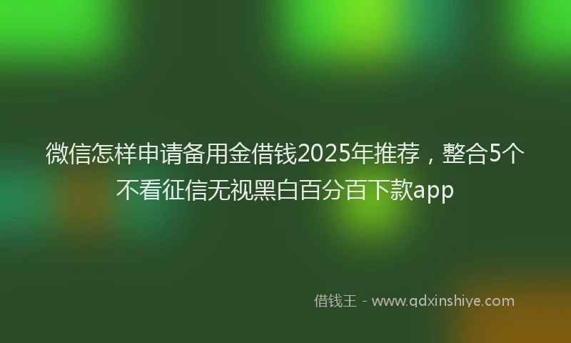 微信怎样申请备用金借钱2025年推荐，整合5个不看征信无视黑白百分百下款app