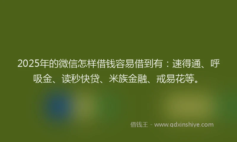 2025年的微信怎样借钱容易借到有：速得通、呼吸金、读秒快贷、米族金融、戒易花等。