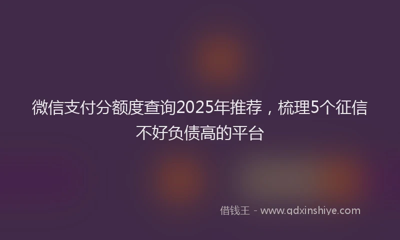 微信支付分额度查询2025年推荐，梳理5个征信不好负债高的平台
