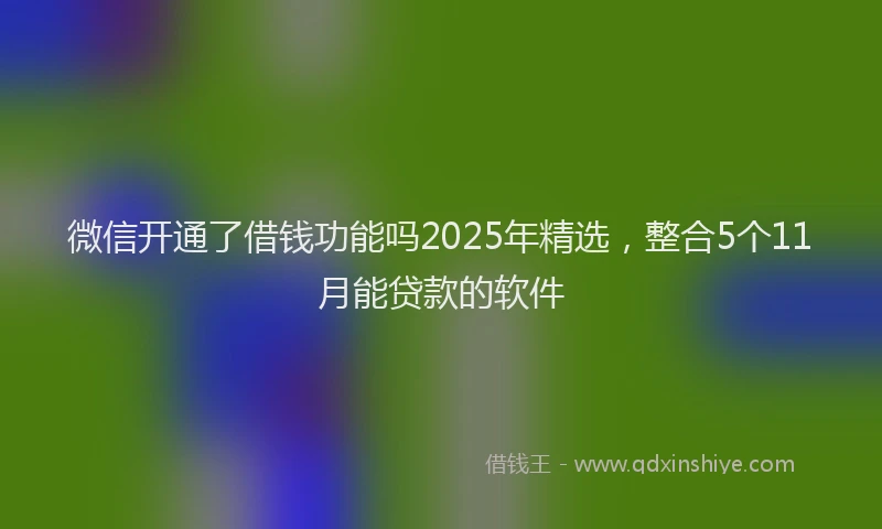微信开通了借钱功能吗2025年精选，整合5个11月能贷款的软件
