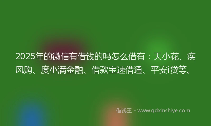 2025年的微信有借钱的吗怎么借有：天小花、疾风购、度小满金融、借款宝速借通、平安i贷等。