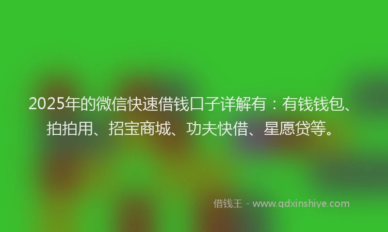 2025年的微信快速借钱口子详解有：有钱钱包、拍拍用、招宝商城、功夫快借、星愿贷等。