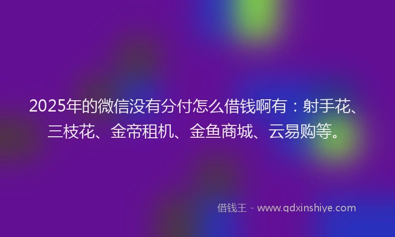 2025年的微信没有分付怎么借钱啊有：射手花、三枝花、金帝租机、金鱼商城、云易购等。