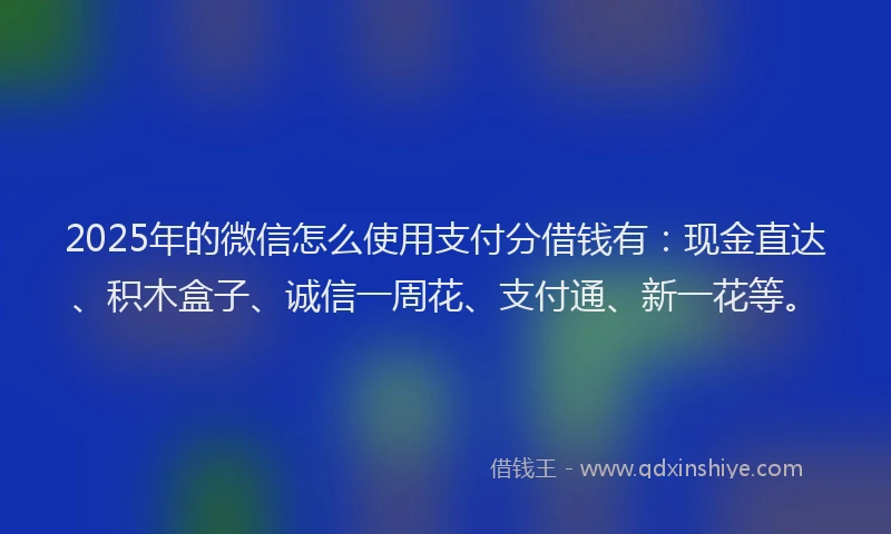 2025年的微信怎么使用支付分借钱有：现金直达、积木盒子、诚信一周花、支付通、新一花等。