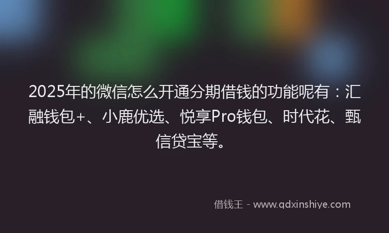 2025年的微信怎么开通分期借钱的功能呢有：汇融钱包+、小鹿优选、悦享Pro钱包、时代花、甄信贷宝等。