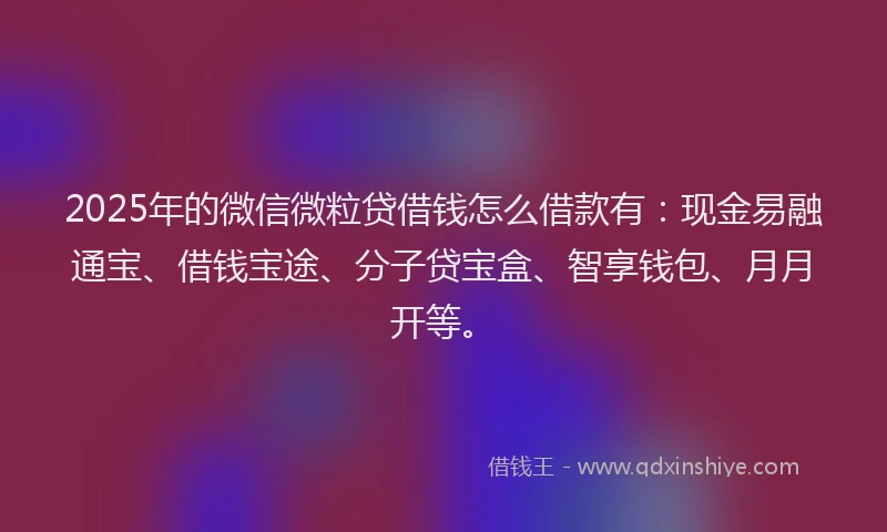 2025年的微信微粒贷借钱怎么借款有：现金易融通宝、借钱宝途、分子贷宝盒、智享钱包、月月开等。