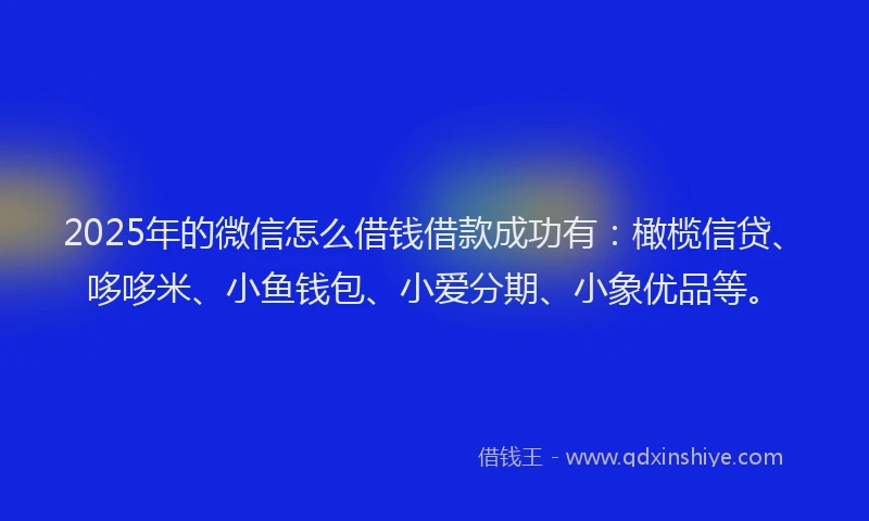 2025年的微信怎么借钱借款成功有：橄榄信贷、哆哆米、小鱼钱包、小爱分期、小象优品等。