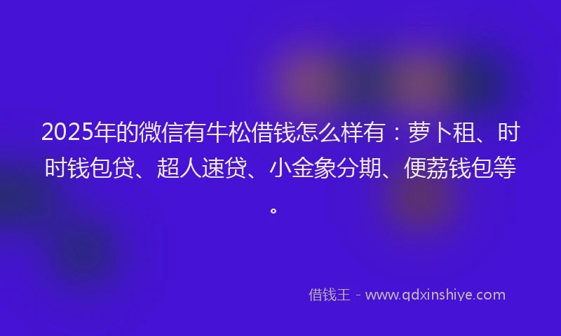 2025年的微信有牛松借钱怎么样有：萝卜租、时时钱包贷、超人速贷、小金象分期、便荔钱包等。