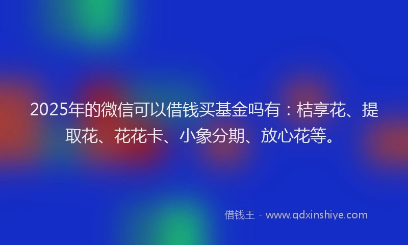 2025年的微信可以借钱买基金吗有：桔享花、提取花、花花卡、小象分期、放心花等。