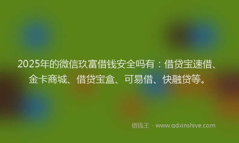 2025年的微信玖富借钱安全吗有：借贷宝速借、金卡商城、借贷宝盒、可易借、快融贷等。