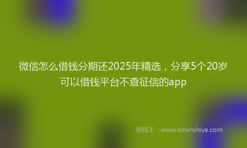 微信怎么借钱分期还2025年精选，分享5个20岁可以借钱平台不查征信的app