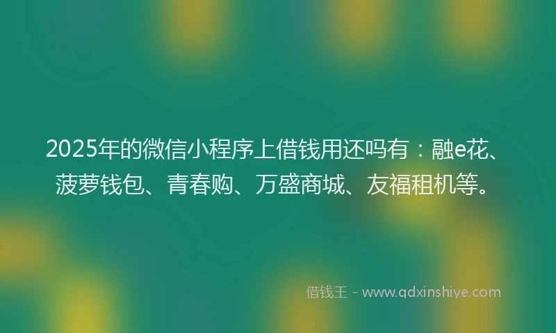 2025年的微信小程序上借钱用还吗有：融e花、菠萝钱包、青春购、万盛商城、友福租机等。