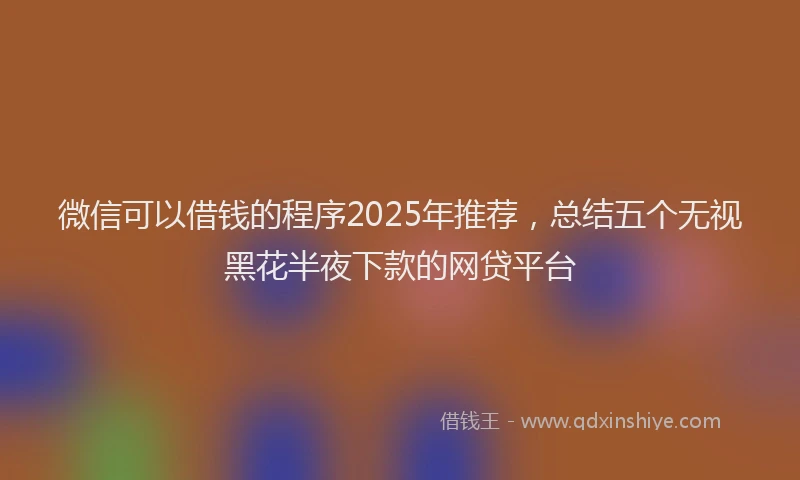 微信可以借钱的程序2025年推荐，总结五个无视黑花半夜下款的网贷平台