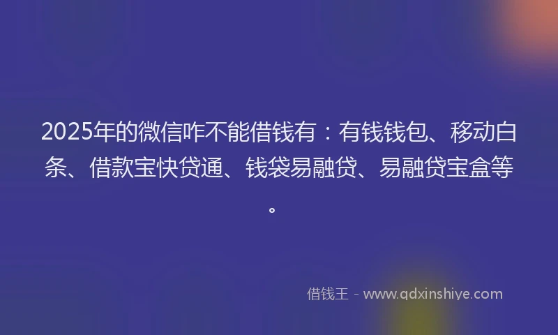 2025年的微信咋不能借钱有：有钱钱包、移动白条、借款宝快贷通、钱袋易融贷、易融贷宝盒等。