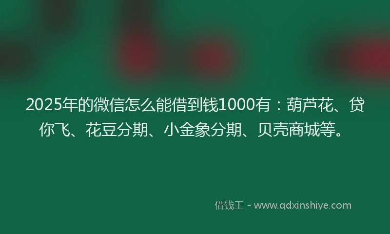 2025年的微信怎么能借到钱1000有：葫芦花、贷你飞、花豆分期、小金象分期、贝壳商城等。