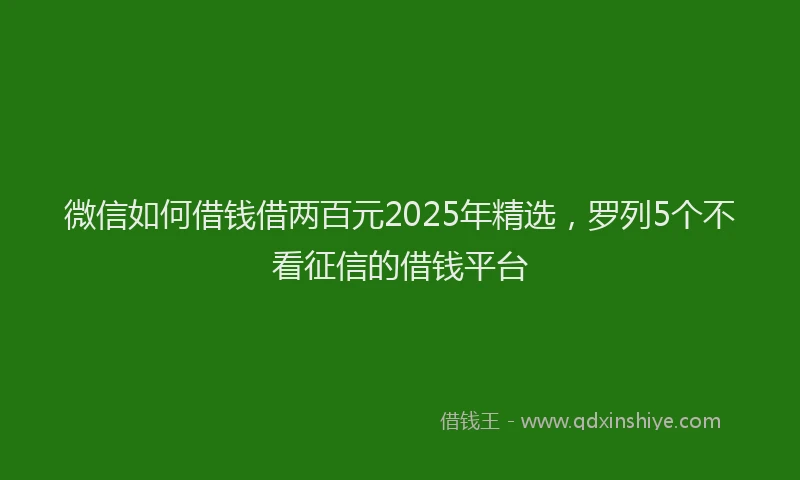 微信如何借钱借两百元2025年精选，罗列5个不看征信的借钱平台