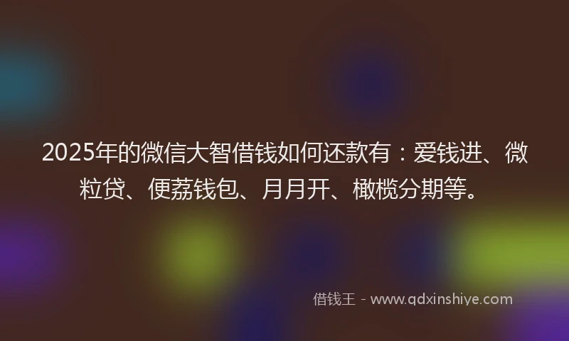 2025年的微信大智借钱如何还款有：爱钱进、微粒贷、便荔钱包、月月开、橄榄分期等。