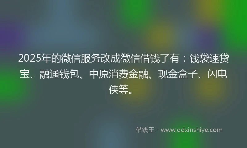 2025年的微信服务改成微信借钱了有：钱袋速贷宝、融通钱包、中原消费金融、现金盒子、闪电侠等。