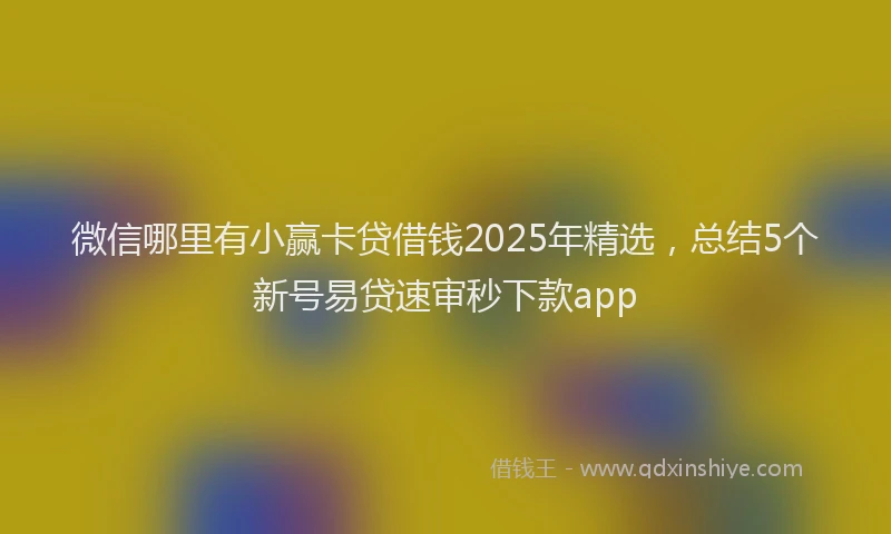 微信哪里有小赢卡贷借钱2025年精选，总结5个新号易贷速审秒下款app
