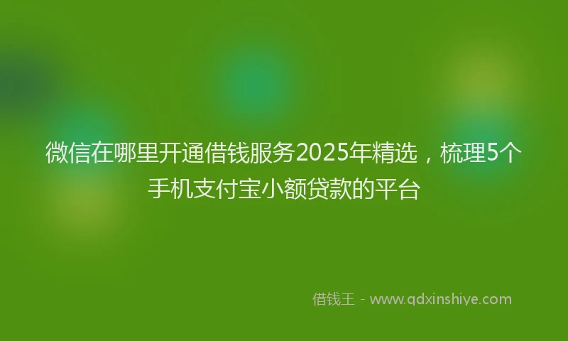 微信在哪里开通借钱服务2025年精选，梳理5个手机支付宝小额贷款的平台