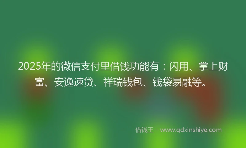 2025年的微信支付里借钱功能有：闪用、掌上财富、安逸速贷、祥瑞钱包、钱袋易融等。