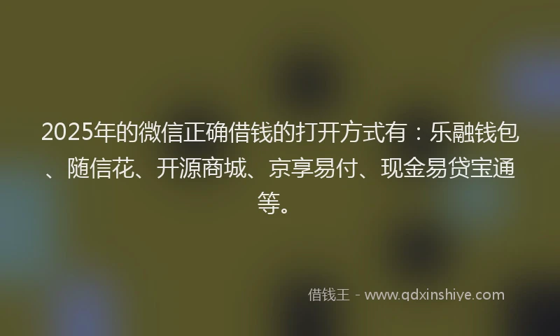 2025年的微信正确借钱的打开方式有：乐融钱包、随信花、开源商城、京享易付、现金易贷宝通等。