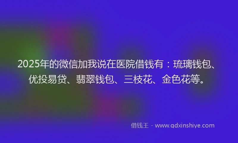 2025年的微信加我说在医院借钱有：琉璃钱包、优投易贷、翡翠钱包、三枝花、金色花等。