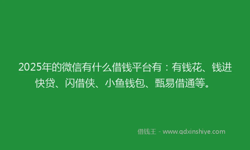 2025年的微信有什么借钱平台有：有钱花、钱进快贷、闪借侠、小鱼钱包、甄易借通等。