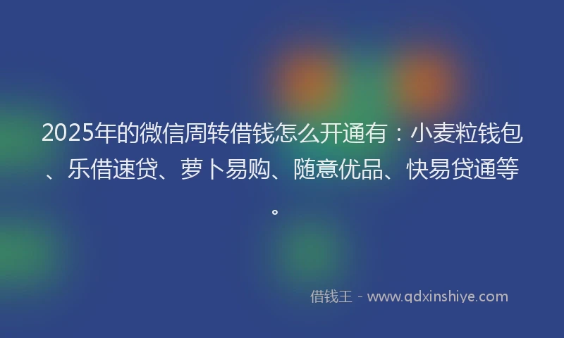 2025年的微信周转借钱怎么开通有：小麦粒钱包、乐借速贷、萝卜易购、随意优品、快易贷通等。