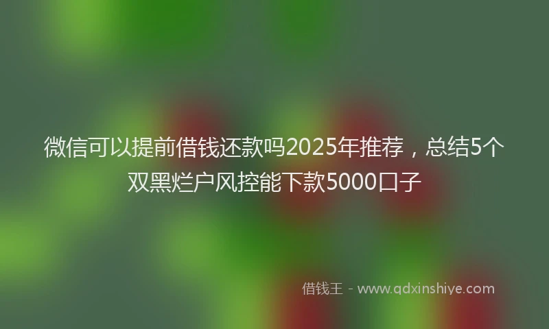 微信可以提前借钱还款吗2025年推荐，总结5个双黑烂户风控能下款5000口子