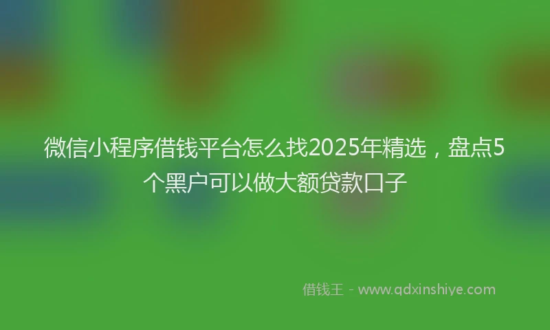 微信小程序借钱平台怎么找2025年精选，盘点5个黑户可以做大额贷款口子