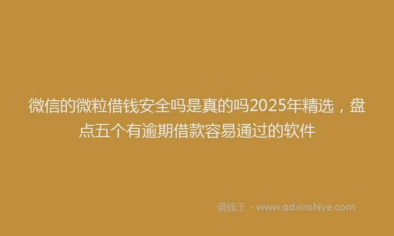 微信的微粒借钱安全吗是真的吗2025年精选，盘点五个有逾期借款容易通过的软件