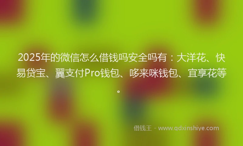 2025年的微信怎么借钱吗安全吗有：大洋花、快易贷宝、翼支付Pro钱包、哆来咪钱包、宜享花等。