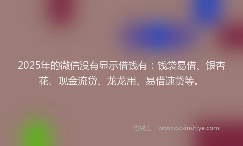 2025年的微信没有显示借钱有：钱袋易借、银杏花、现金流贷、龙龙用、易借速贷等。