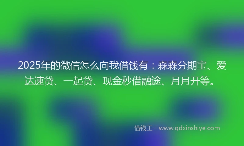 2025年的微信怎么向我借钱有：森森分期宝、爱达速贷、一起贷、现金秒借融途、月月开等。