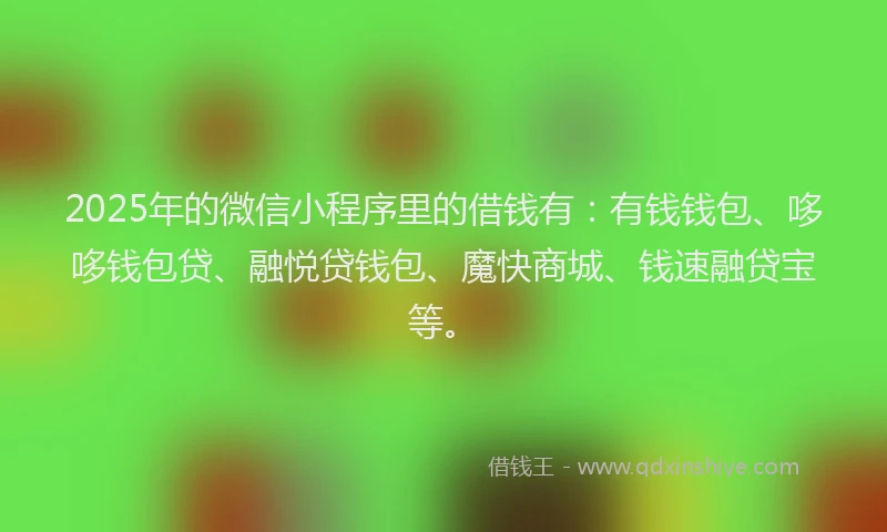 2025年的微信小程序里的借钱有：有钱钱包、哆哆钱包贷、融悦贷钱包、魔快商城、钱速融贷宝等。