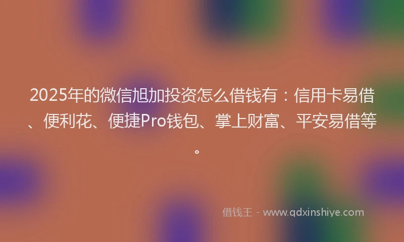 2025年的微信旭加投资怎么借钱有：信用卡易借、便利花、便捷Pro钱包、掌上财富、平安易借等。