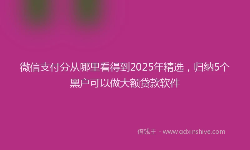 微信支付分从哪里看得到2025年精选，归纳5个黑户可以做大额贷款软件
