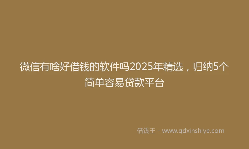微信有啥好借钱的软件吗2025年精选，归纳5个简单容易贷款平台