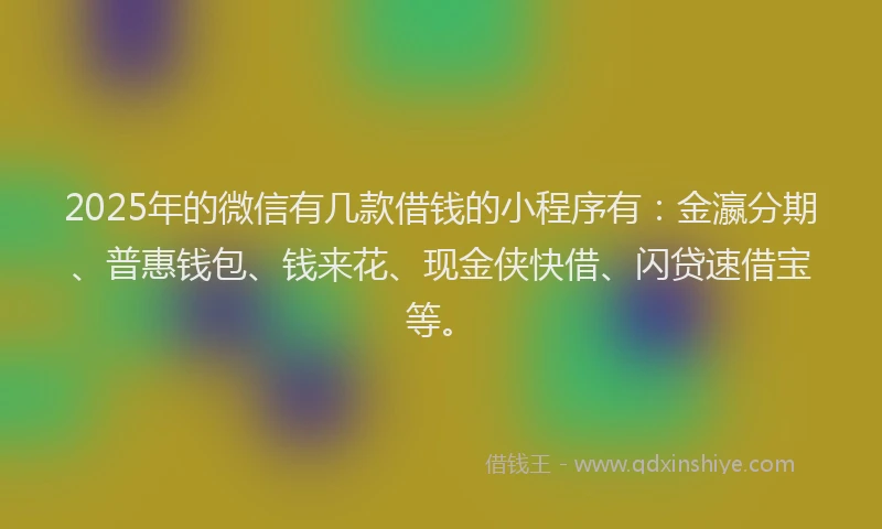 2025年的微信有几款借钱的小程序有：金瀛分期、普惠钱包、钱来花、现金侠快借、闪贷速借宝等。