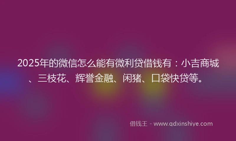 2025年的微信怎么能有微利贷借钱有：小吉商城、三枝花、辉誉金融、闲猪、口袋快贷等。