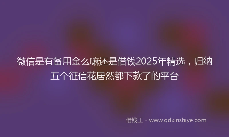 微信是有备用金么嘛还是借钱2025年精选，归纳五个征信花居然都下款了的平台