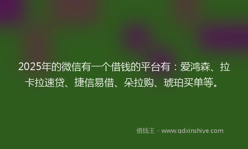 2025年的微信有一个借钱的平台有：爱鸿森、拉卡拉速贷、捷信易借、朵拉购、琥珀买单等。