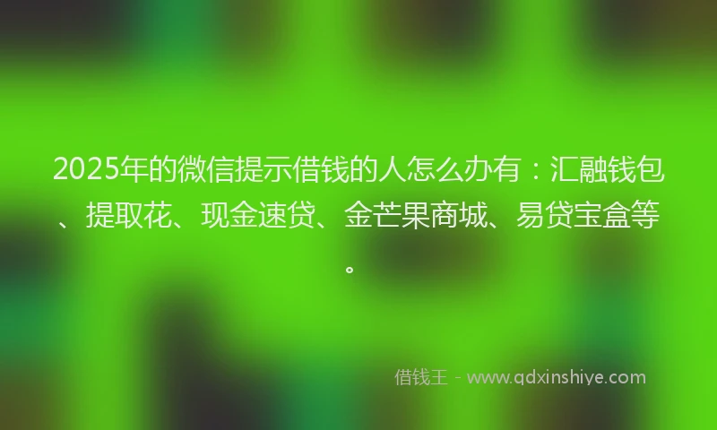 2025年的微信提示借钱的人怎么办有：汇融钱包、提取花、现金速贷、金芒果商城、易贷宝盒等。