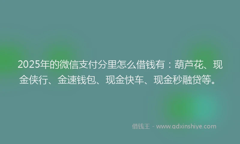 2025年的微信支付分里怎么借钱有：葫芦花、现金侠行、金速钱包、现金快车、现金秒融贷等。