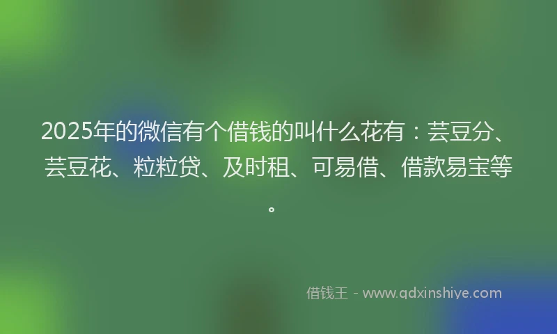 2025年的微信有个借钱的叫什么花有：芸豆分、芸豆花、粒粒贷、及时租、可易借、借款易宝等。
