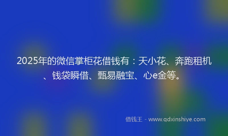 2025年的微信掌柜花借钱有：天小花、奔跑租机、钱袋瞬借、甄易融宝、心e金等。