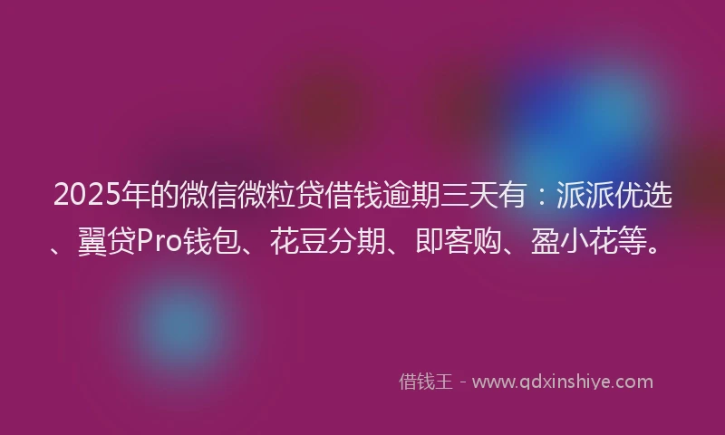 2025年的微信微粒贷借钱逾期三天有：派派优选、翼贷Pro钱包、花豆分期、即客购、盈小花等。