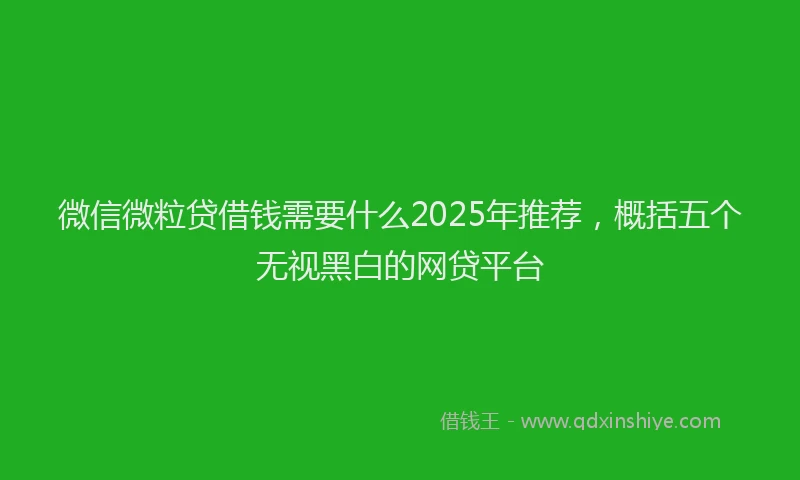 微信微粒贷借钱需要什么2025年推荐，概括五个无视黑白的网贷平台